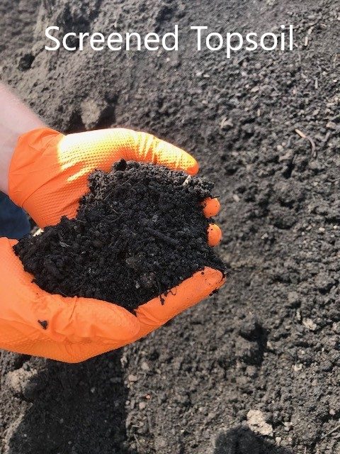 Screened Topsoil_
