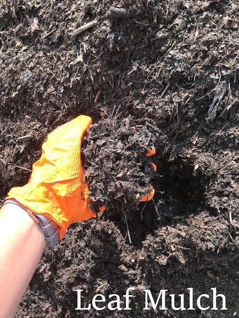 Leaf Mulch_